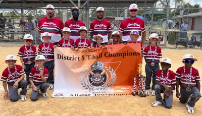 Photo: Bradford T-ball all-stars win 2nd straight district title, going to state